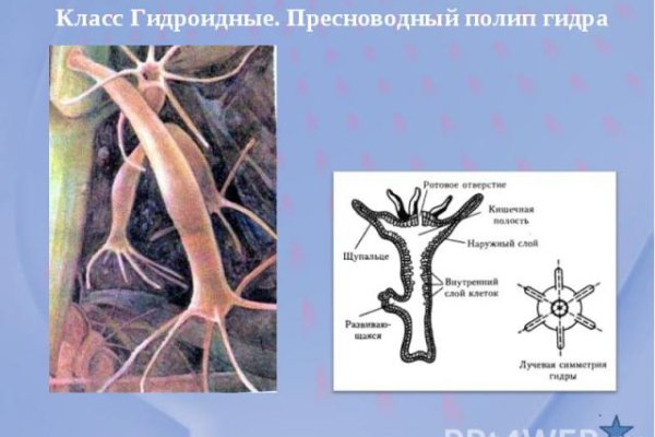 Как пройти капчу в блэк спрут